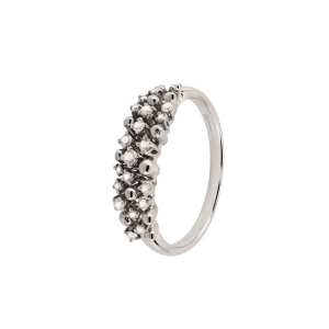 ANELLO SALVINI